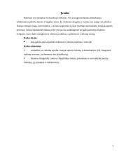 Rinkimai. Rinkimų sistemos Lietuvoje 3 puslapis