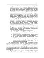 Rinkimai. Rinkimų teisės 5 puslapis