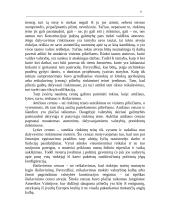 Rinkimai. Rinkimų teisės 8 puslapis