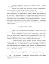 Rinkiminis elgesys Lietuvoje 5 puslapis