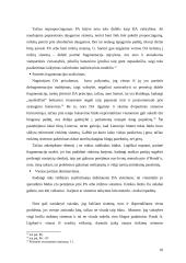 Rinkimų sistemos. Rinkimų sistemos keitimas 10 puslapis