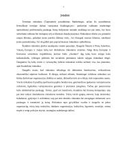 Rinkodara ir jos koncepcijos 2 puslapis