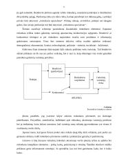 Rinkodara ir jos koncepcijos 6 puslapis