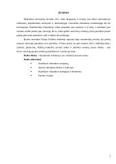 Rinkodara ir jos vaidmuo kuriant įmonę 2 puslapis