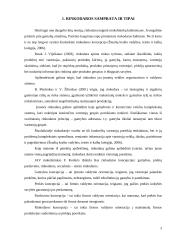 Rinkodara ir jos vaidmuo kuriant įmonę 3 puslapis