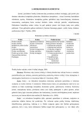 Rinkodara ir jos vaidmuo kuriant įmonę 7 puslapis