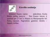 Rinkodaros analizė: Ežerėlio seniūnija 2 puslapis