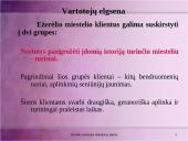 Rinkodaros analizė: Ežerėlio seniūnija 12 puslapis