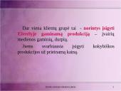 Rinkodaros analizė: Ežerėlio seniūnija 13 puslapis