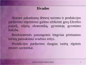 Rinkodaros analizė: Ežerėlio seniūnija 17 puslapis