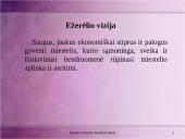 Rinkodaros analizė: Ežerėlio seniūnija 3 puslapis