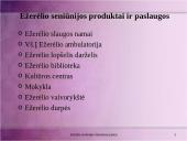 Rinkodaros analizė: Ežerėlio seniūnija 4 puslapis