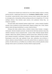 Rinkodaros analizė: kavinė "Neapolis" 2 puslapis