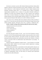 Rinkodaros analizė: kavinė "Neapolis" 11 puslapis