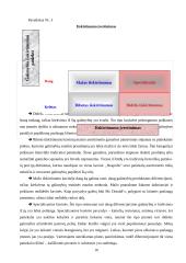 Rinkodaros analizė: kavinė "Neapolis" 9 puslapis