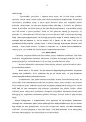 Rinkos mechanizmo ribotumai ir valstybės vaidmuo ekonomikoje 6 puslapis