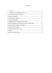 Rinkos monopolizavimo teorinės problemos monopolijos Lietuvoje 2 puslapis