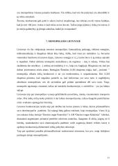Rinkos monopolizavimo teorinės problemos monopolijos Lietuvoje 11 puslapis