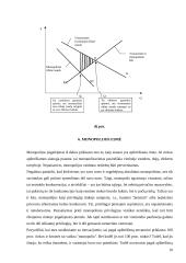 Rinkos monopolizavimo teorinės problemos monopolijos Lietuvoje 10 puslapis