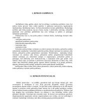 Rinkos paklausos vertinimas ir prognozavimas 2 puslapis