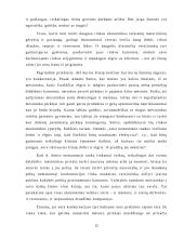 Rinkos samprata ir funkcijos ekonomikoje 12 puslapis