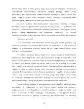 Rinkos samprata ir funkcijos ekonomikoje 13 puslapis