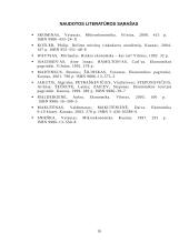 Rinkos samprata ir funkcijos ekonomikoje 19 puslapis