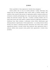 Vartojimo prekių rinkos segmentavimas 2 puslapis