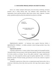 Vartojimo prekių rinkos segmentavimas 5 puslapis