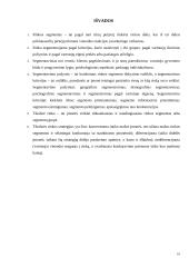 Vartojimo prekių rinkos segmentavimas 9 puslapis