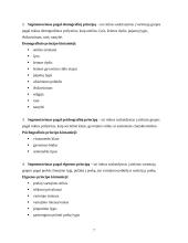 Rinkos segmentavimas ir jo lygiai 7 puslapis