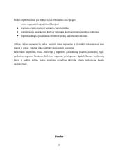 Rinkos segmentavimas ir jo lygiai 10 puslapis