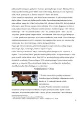 Ristūnų arklių genetiniai ištekliai 7 puslapis