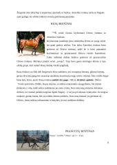 Ristūnų arklių genetiniai ištekliai 9 puslapis