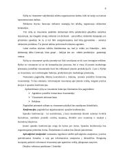 Ryšių su visuomene valdymo projektas 1 metams: IĮ "Elektroniniai informaciniai Sprendimai" 8 puslapis