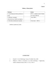 Ryšių su visuomene valdymo projektas 1 metams: IĮ "Elektroniniai informaciniai Sprendimai" 9 puslapis