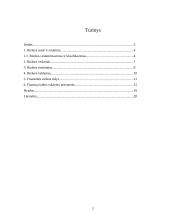 Rizika. Rizikos valdymas 2 puslapis