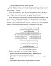 Rizika. Rizikos valdymas 11 puslapis