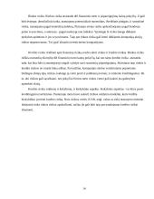 Rizika. Rizikos valdymas 14 puslapis