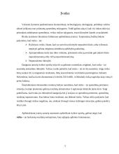 Rizika. Rizikos valdymas 3 puslapis