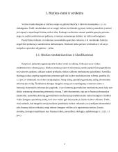 Rizika. Rizikos valdymas 4 puslapis