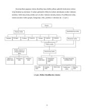 Rizika. Rizikos valdymas 6 puslapis