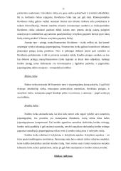 Rizikos valdymas ir draudimas 11 puslapis