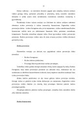 Rizikos valdymas ir draudimas 12 puslapis