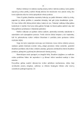 Rizikos valdymas ir draudimas 14 puslapis