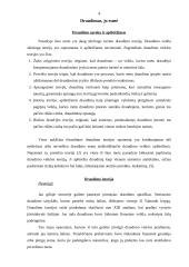 Rizikos valdymas ir draudimas 4 puslapis