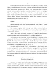 Rizikos valdymas ir draudimas 5 puslapis