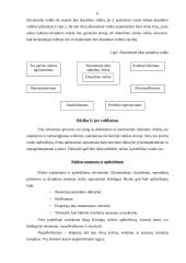 Rizikos valdymas ir draudimas 6 puslapis