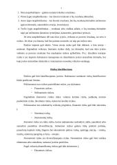 Rizikos valdymas ir draudimas 7 puslapis