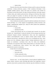 Rizikos valdymas ir draudimas 8 puslapis